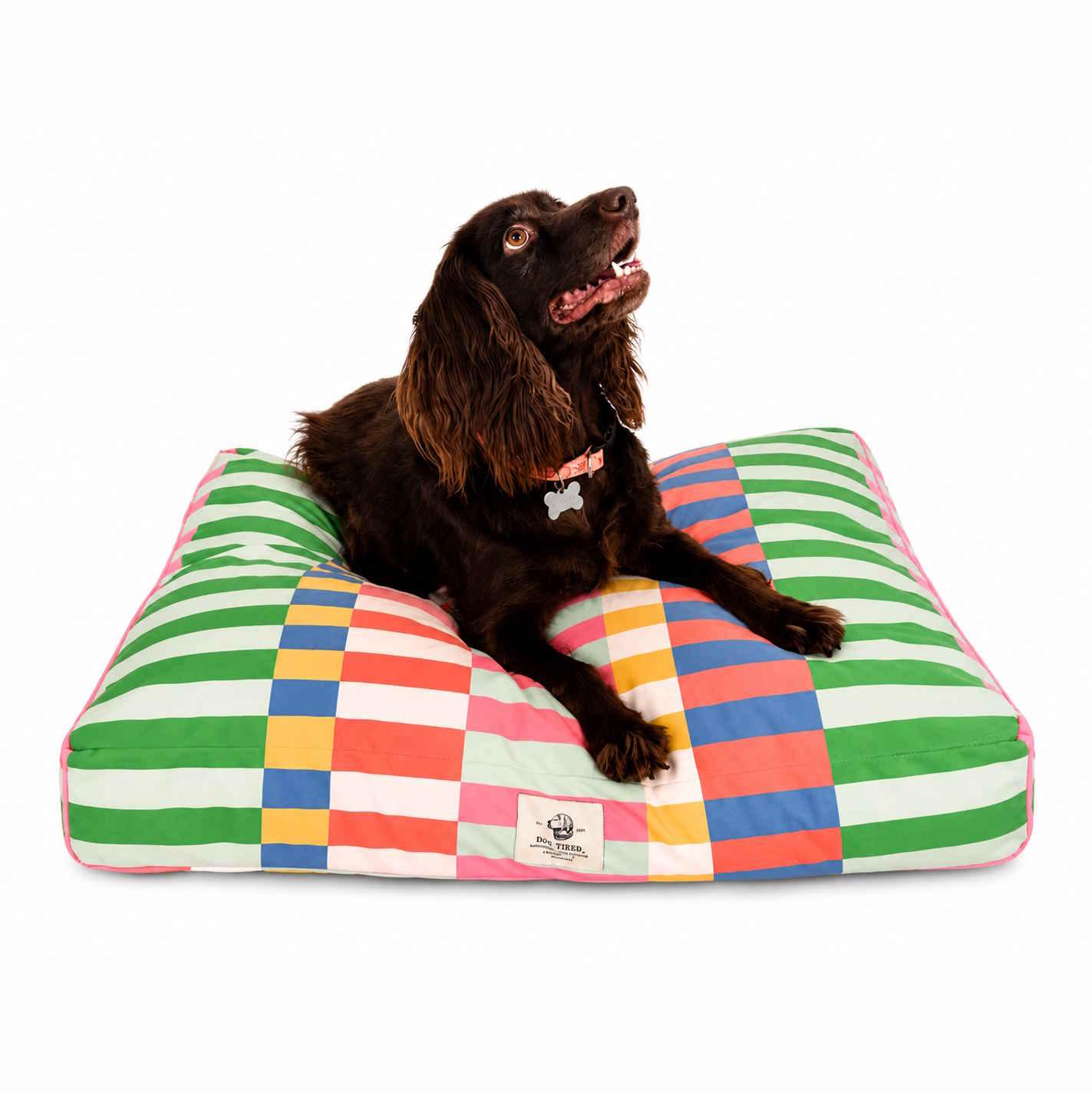 A brown long-haired dog lies on a colorful patchwork dog bed with green, pink, blue, yellow, and white blocks, photographed on a clean white background.