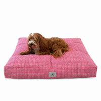 A small brown dog on a rectangle red dog bed with a subtle white grid pattern on a solid white background.