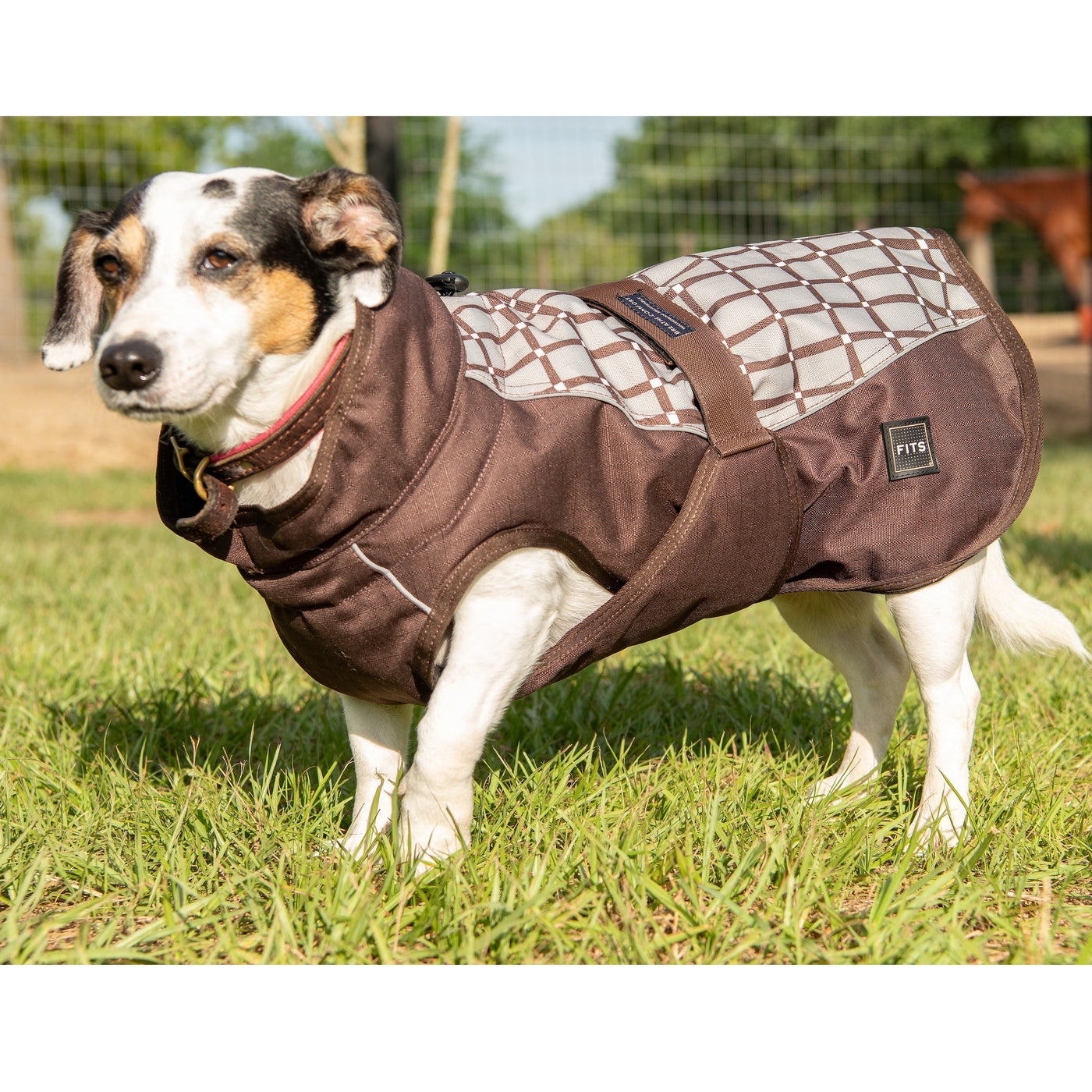 All-Weather Waterproof Dog Coat