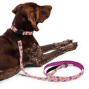 Flower Meadow Dog Collar & Leash