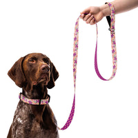 Flower Meadow Dog Collar & Leash
