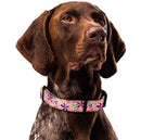 Flower Meadow Dog Collar & Leash