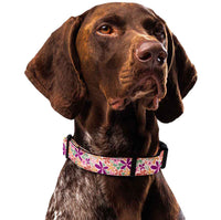 Flower Meadow Dog Collar & Leash