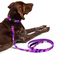 Modern Geometric Dog Collar & Leash