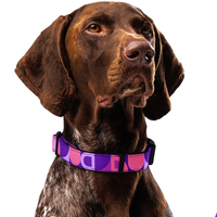 Modern Geometric Dog Collar & Leash
