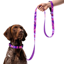 Modern Geometric Dog Collar & Leash