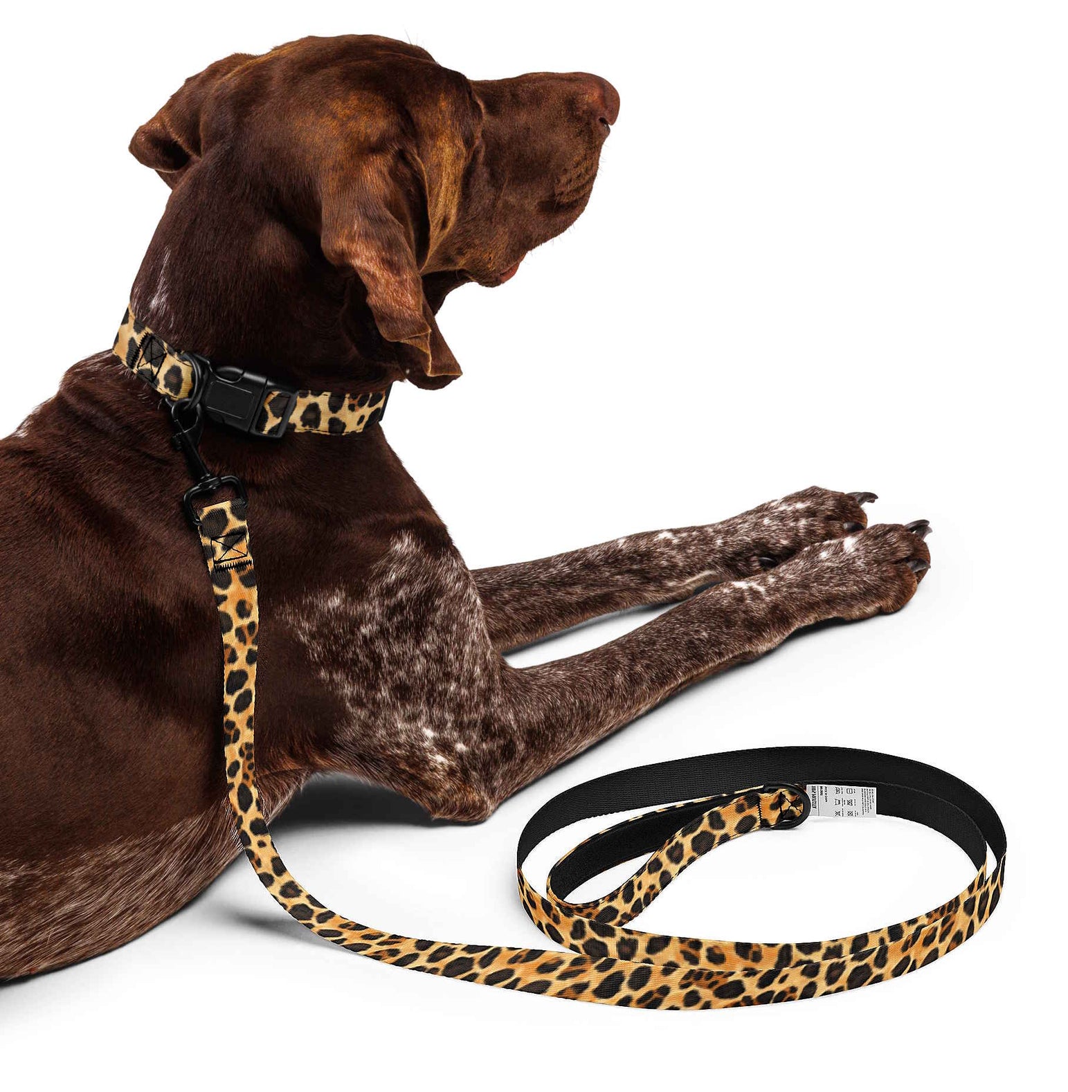 Leopard Print Dog Collar & Leash