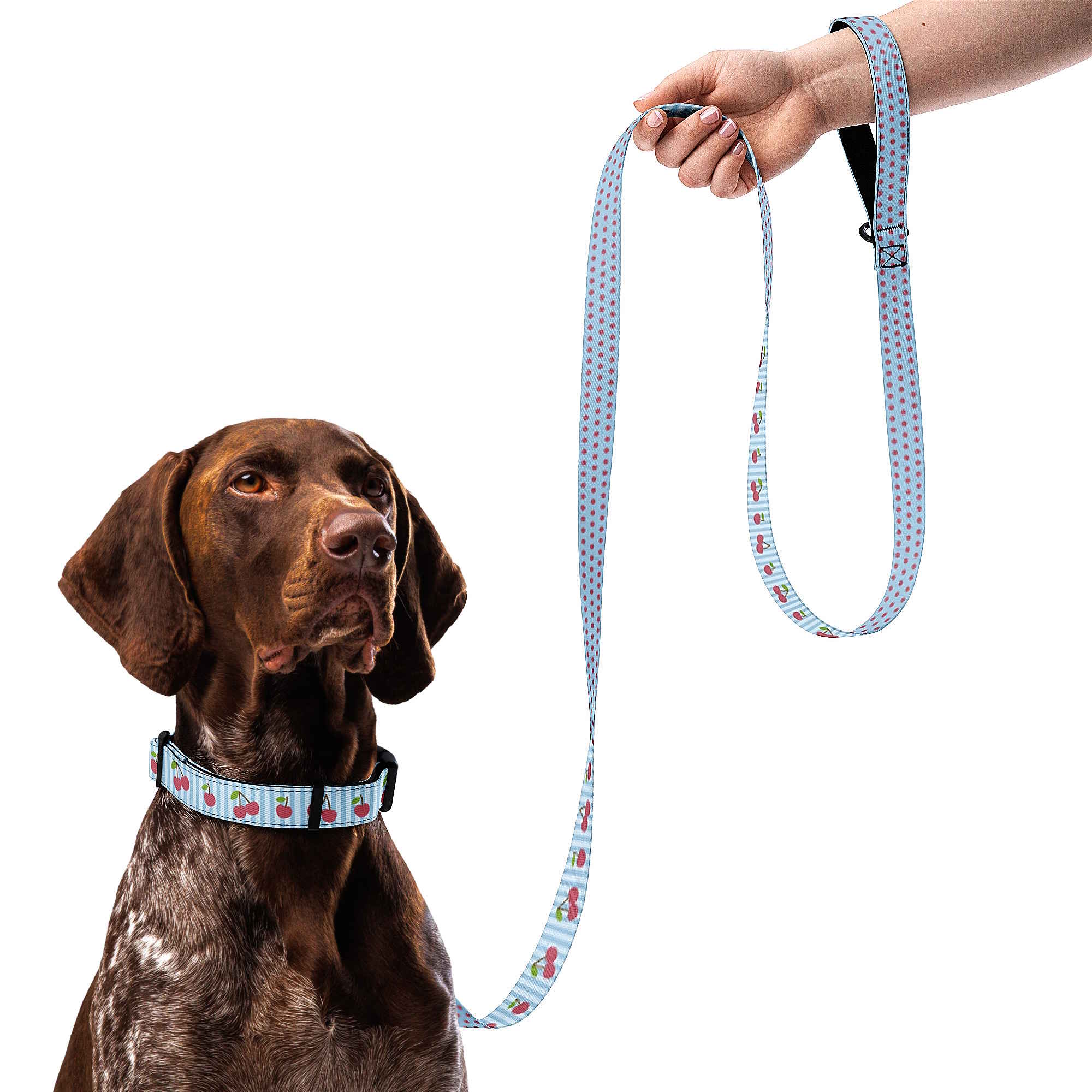 Cherry & Polka Dots Dog Collar & Leash