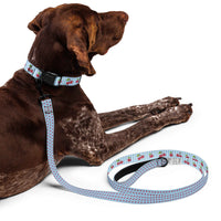 Cherry & Polka Dots Dog Collar & Leash