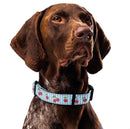 Cherry & Polka Dots Dog Collar & Leash