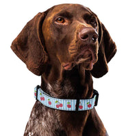 Cherry & Polka Dots Dog Collar & Leash
