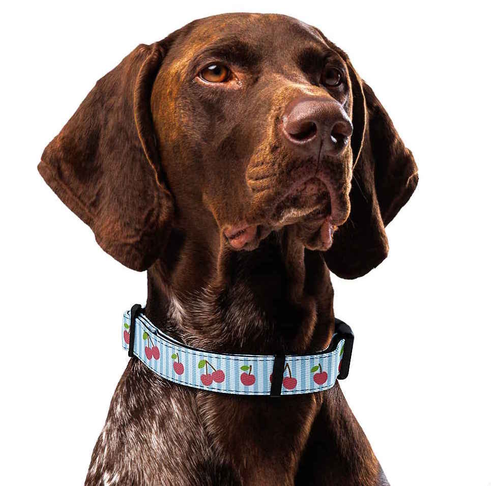 Cherry & Polka Dots Dog Collar & Leash