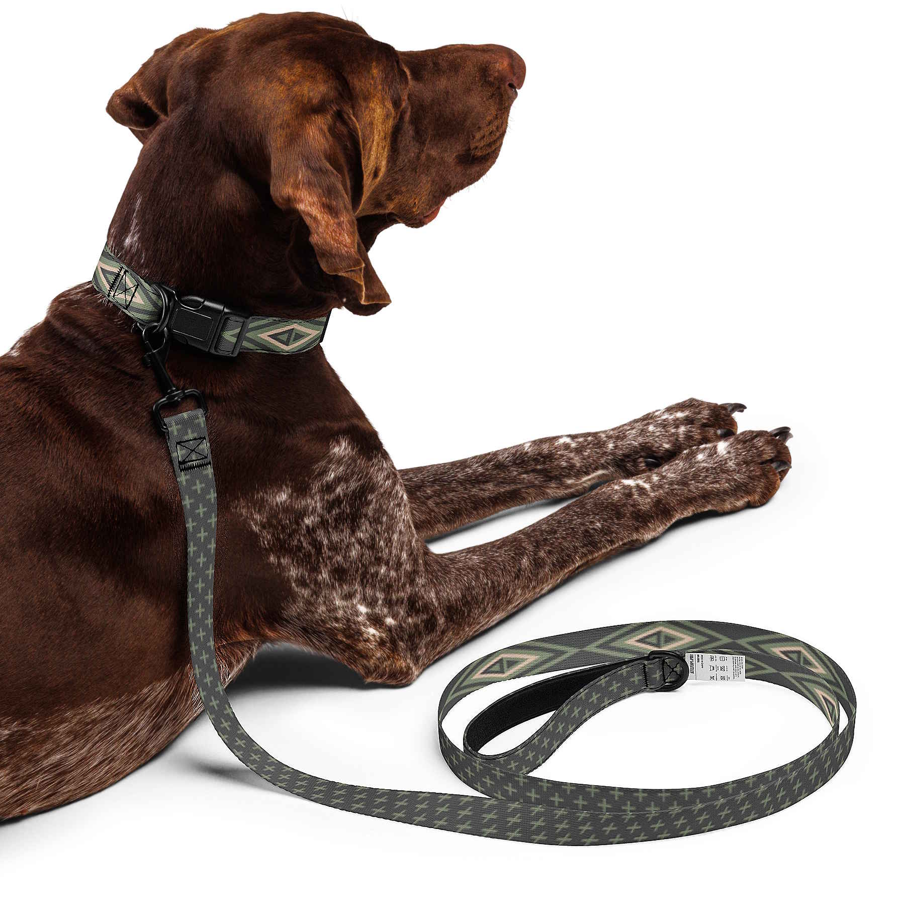 Diamond Geometric Dog Collar & Leash