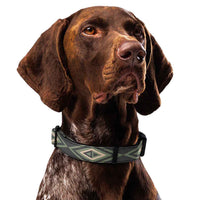 Diamond Geometric Dog Collar & Leash