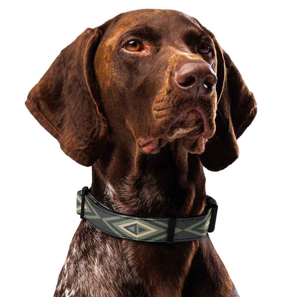 Diamond Geometric Dog Collar & Leash