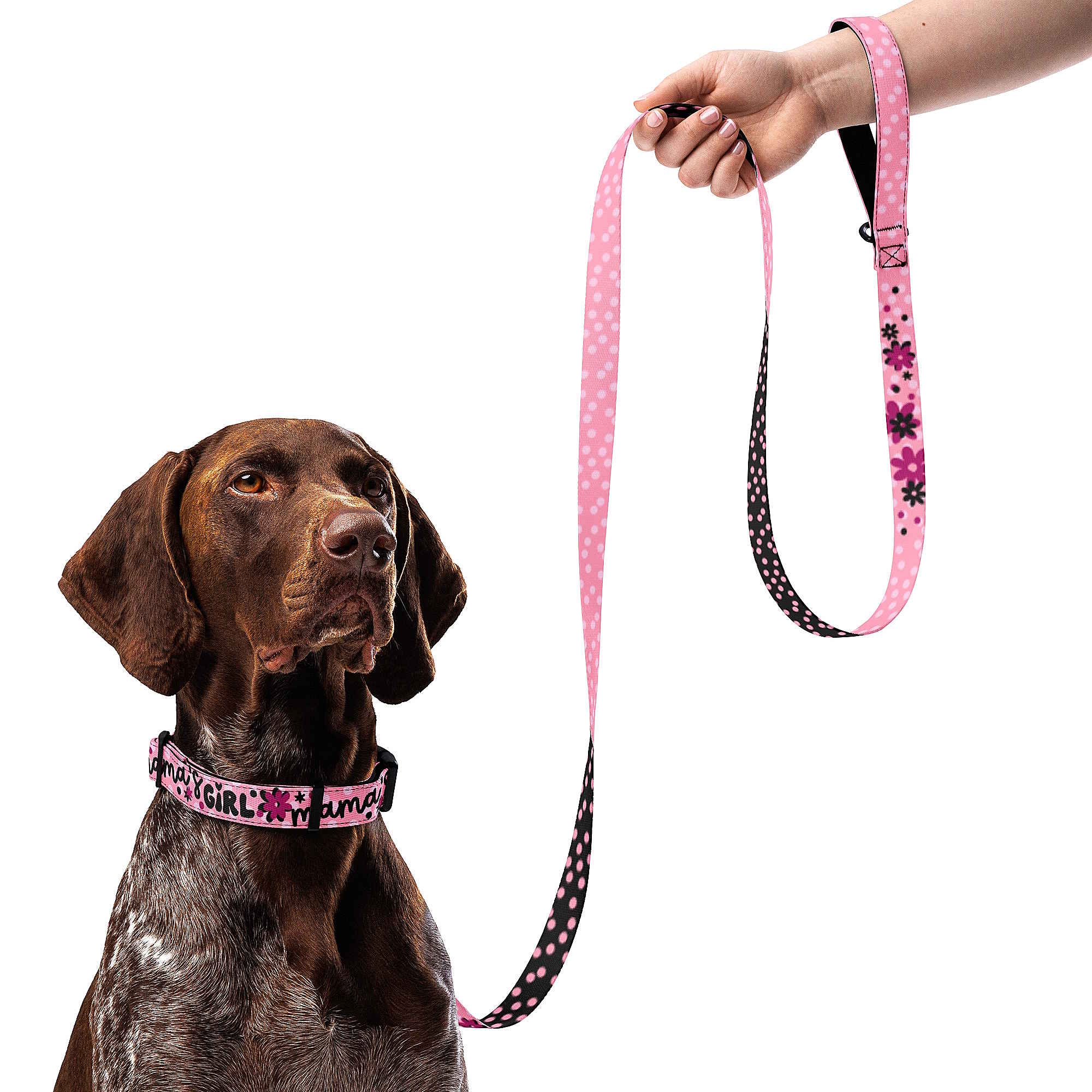 Mama's Girl Dog Collar & Leash