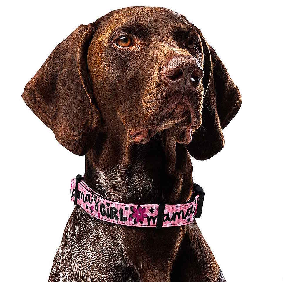 Mama's Girl Dog Collar & Leash
