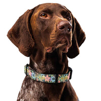 Moody Florals Dog Collar & Leash