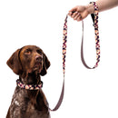 Warm Earth Neutrals Dog Collar & Leash