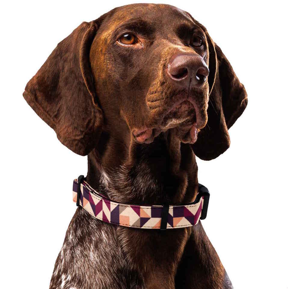 Warm Earth Neutrals Dog Collar & Leash