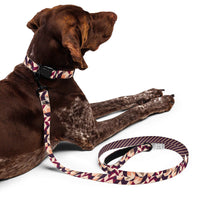 Warm Earth Neutrals Dog Collar & Leash