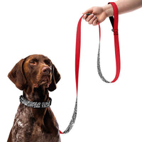 Zebra Dog Collar & Leash