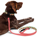 Strawberry Gingham Dog Collar & Leash