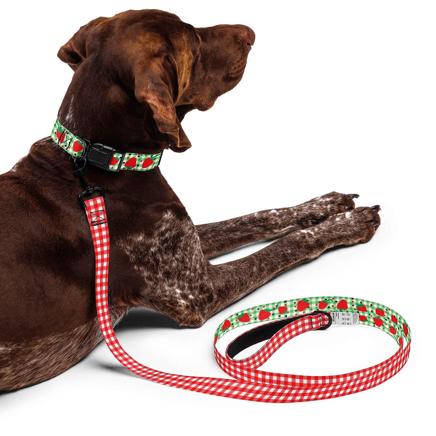 Strawberry Gingham Dog Collar & Leash