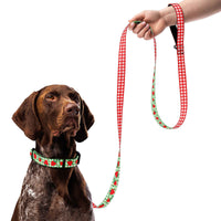 Strawberry Gingham Dog Collar & Leash