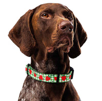 Strawberry Gingham Dog Collar & Leash