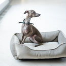 Classic Velvet Sleeper Dog Bed in Gray - Chester & Lee