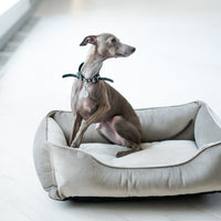 Classic Velvet Sleeper Dog Bed in Gray - Chester & Lee