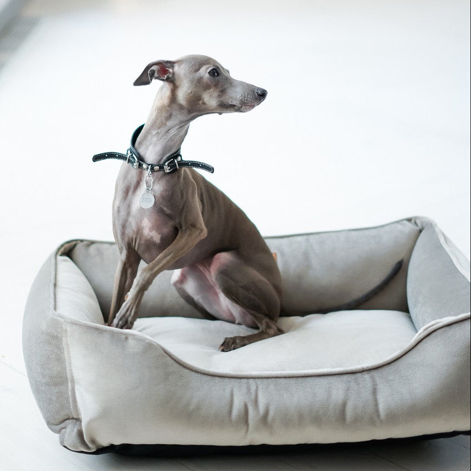 Classic Velvet Sleeper Dog Bed in Gray - Chester & Lee