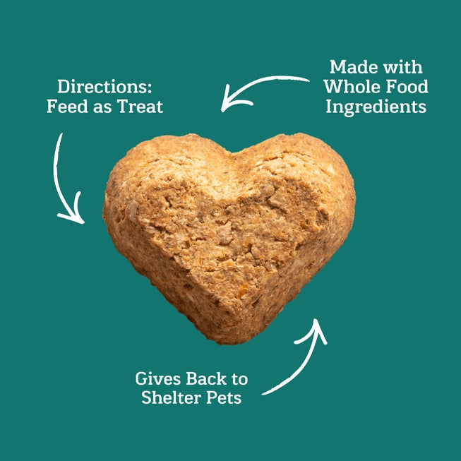 Campfire Feast - GivePet Baked Dog Biscuits - 11 oz