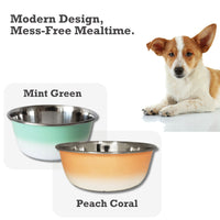 Deep Dog Bowl in Stainless Steel - Mint Green