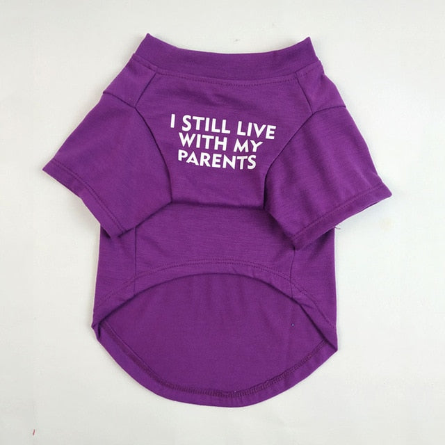 Purple / 2XL