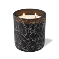 Branches | 12 oz Candle