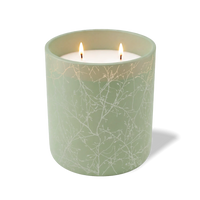 Branches | 12 oz Candle