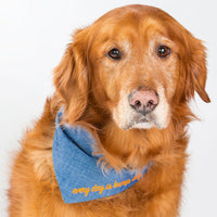 The Embroidered Bandana