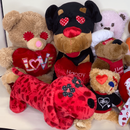 EXTRA LARGE Hearts, Love & Candy Dog Toy: Squeak & NO SQUEAK