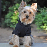 Dog Hoodie