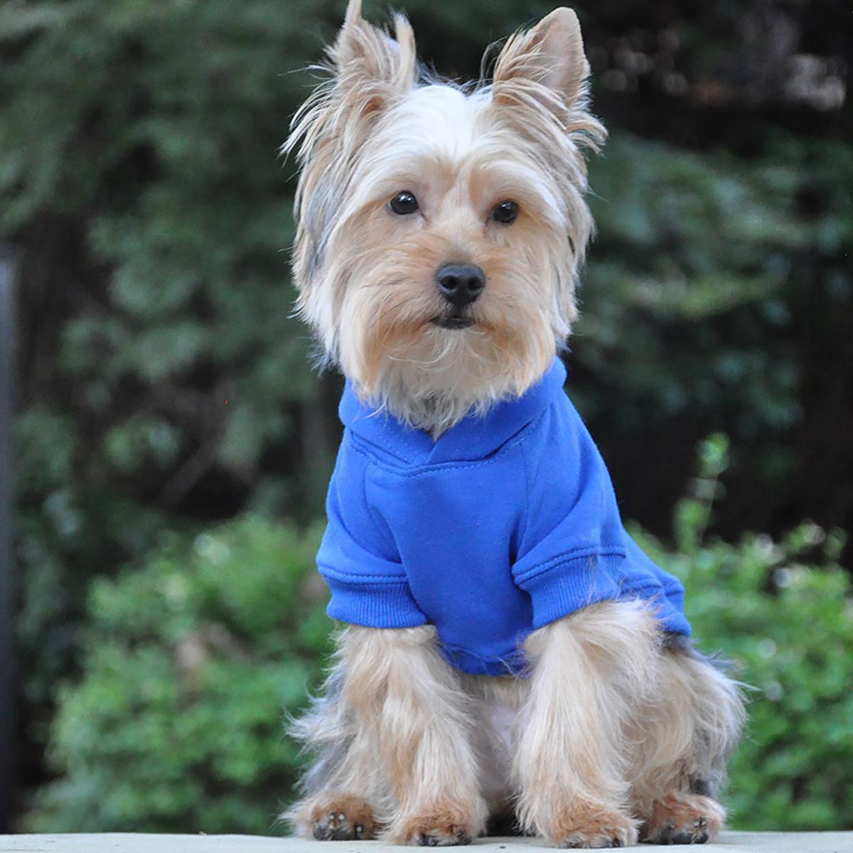 Dog Hoodie