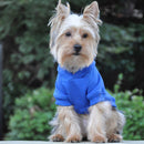 Dog Hoodie