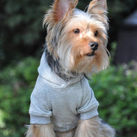 Dog Hoodie
