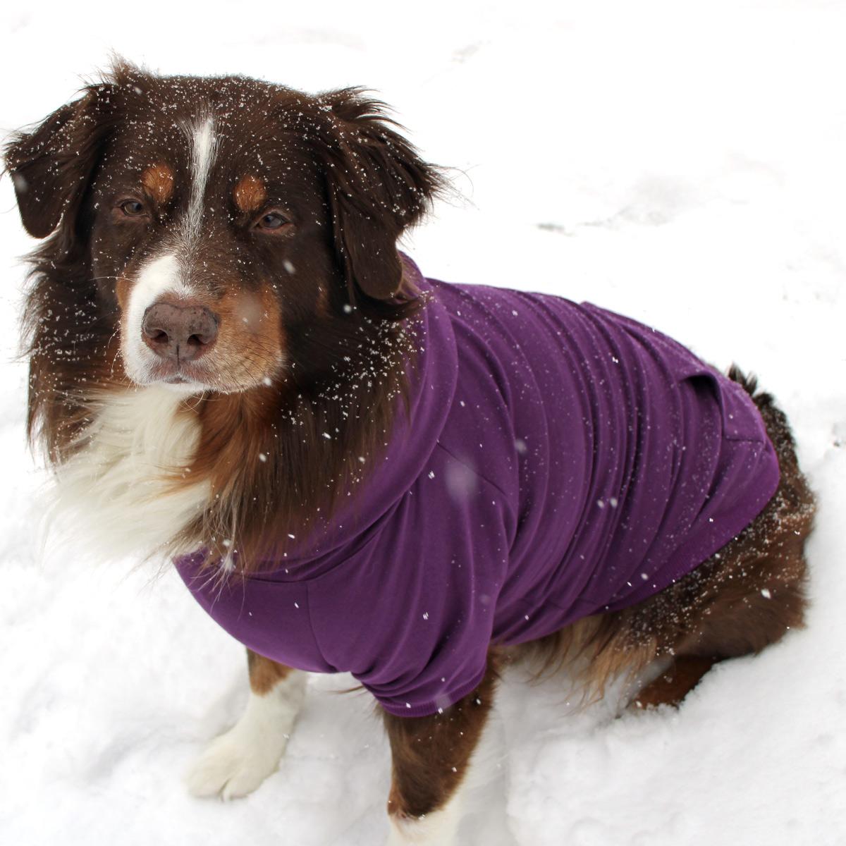 Dog Hoodie