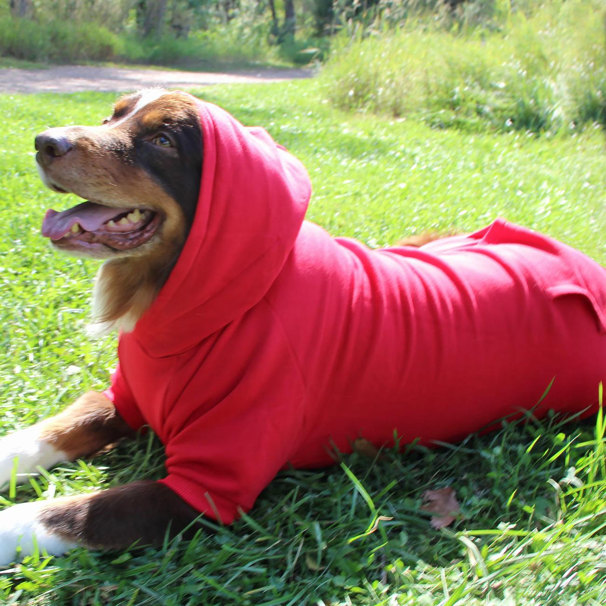 Dog Hoodie