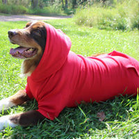 Dog Hoodie