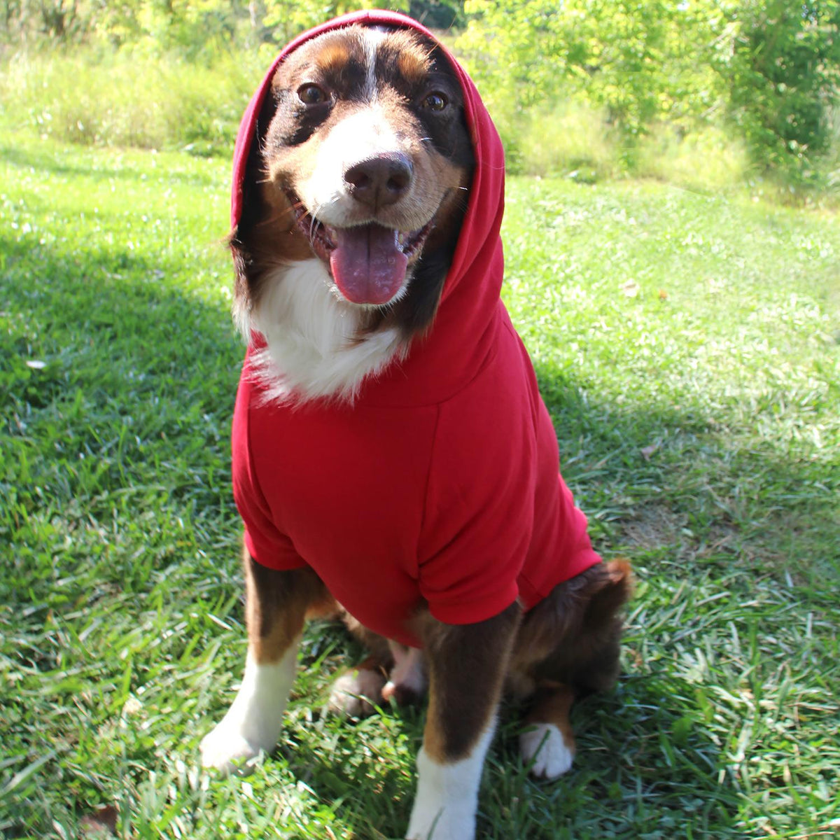 Dog Hoodie