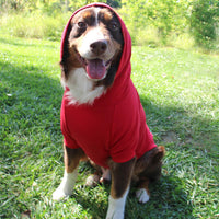Dog Hoodie