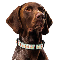 Dog collar and leash set with cupcake pattern on a green and white striped background